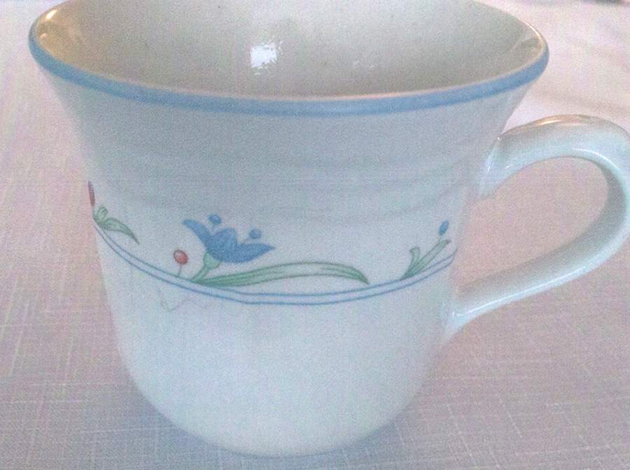 Concord Flat Cup by International 21-1