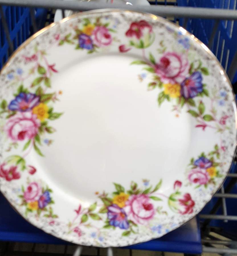 IFC14 Dinner Plate by Imperial Fine China-1