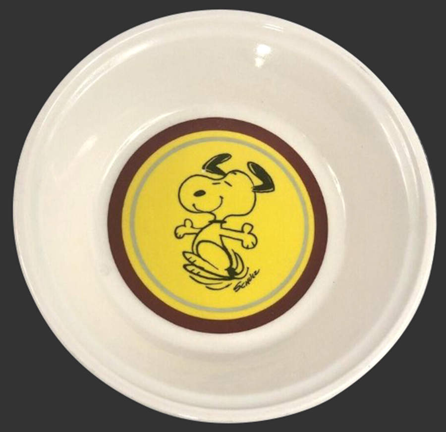 Peanuts Child's Bowl by Iroquois-1