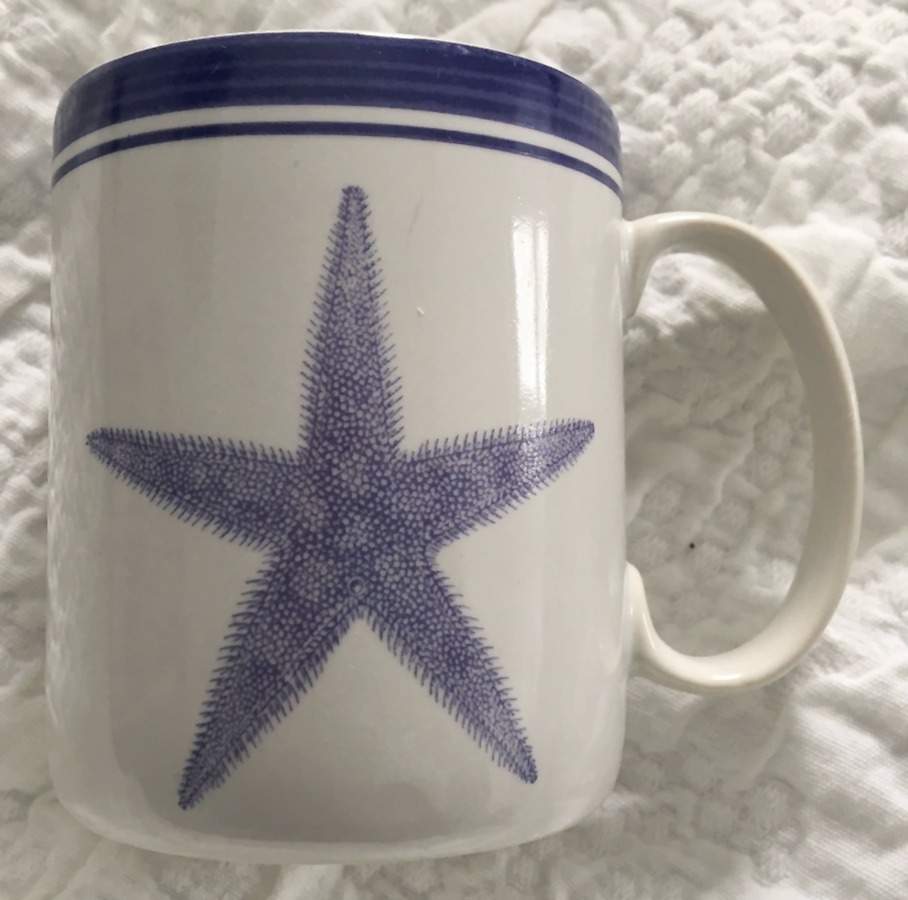 Sea Shells Mug by Interiors (PTS)-1