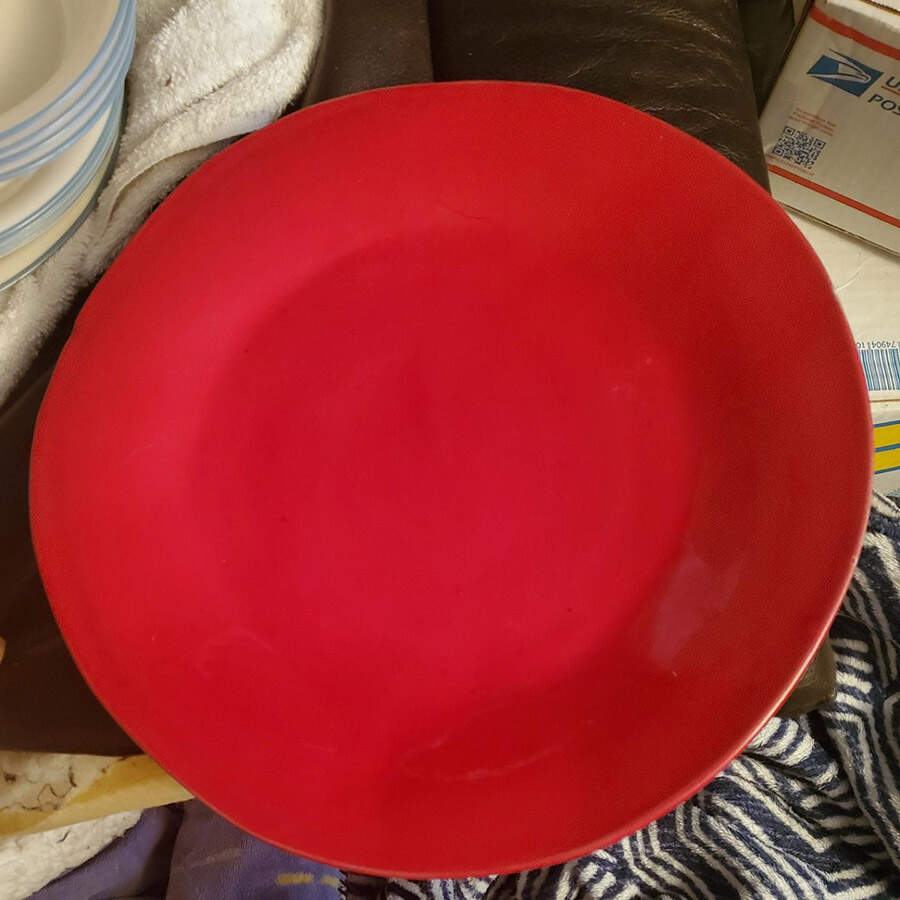ITY445 Dinner Plate by Italy-1