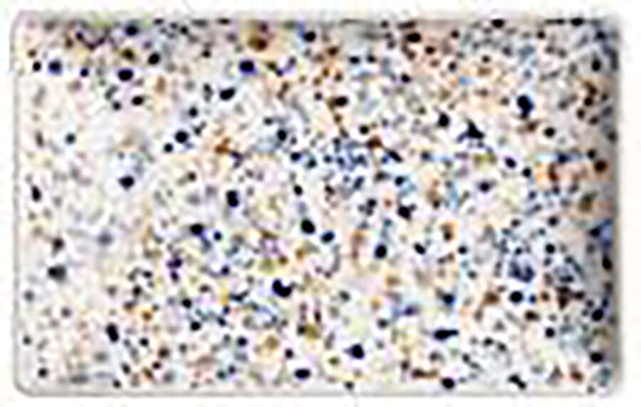 Oiva Toika Collection 11" Rectangular Plate by Iittala-1