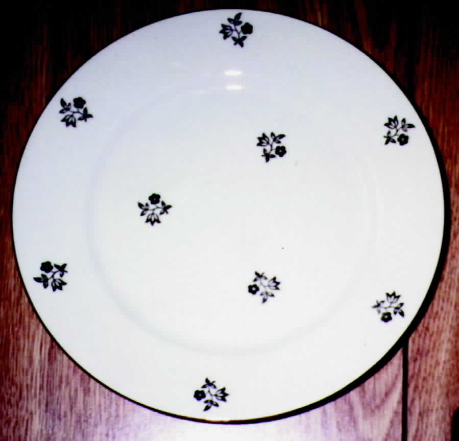 JAE19 Dinner Plate by Jaeger-1