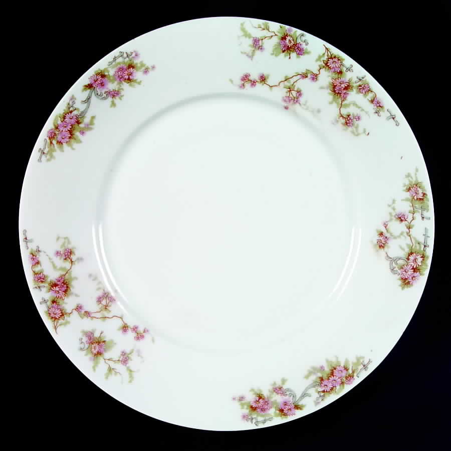 Nuremberg Dinner Plate by Jaeger-1