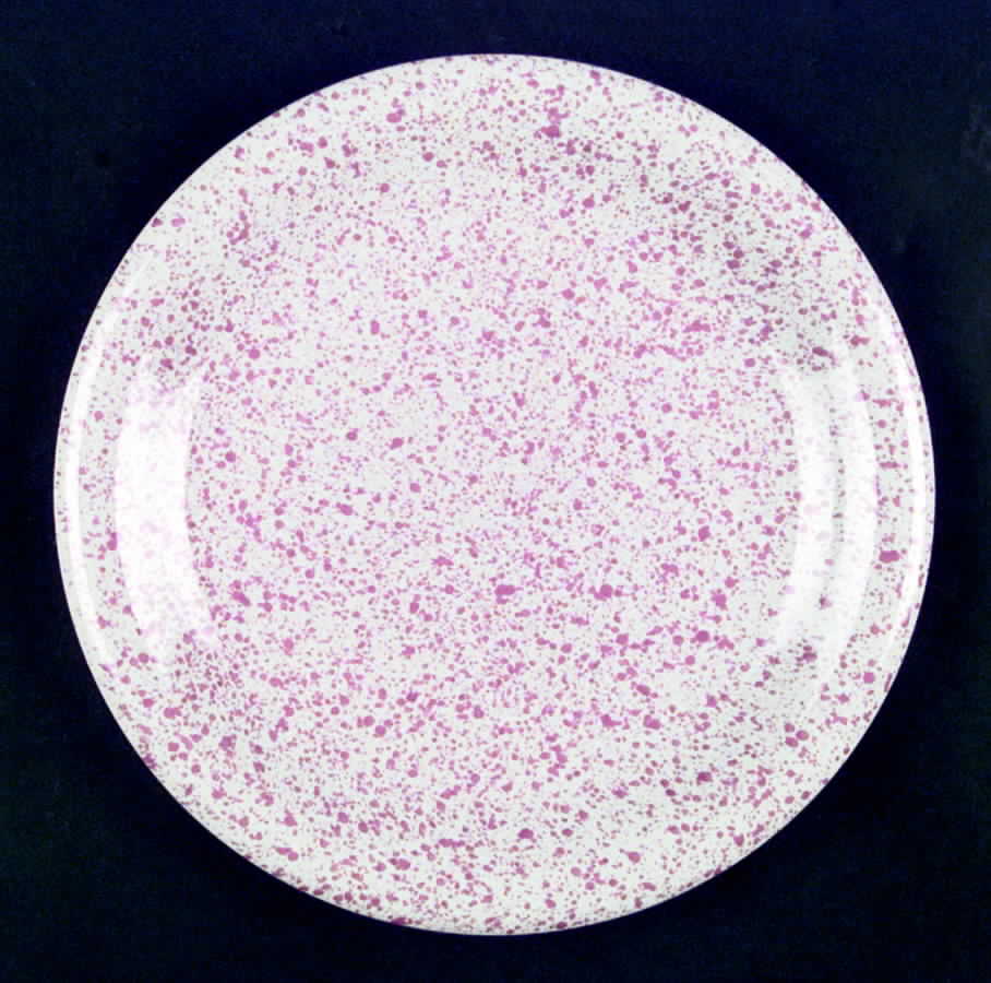 Carnival Spatter Dusty Rose Dinner Plate by Japan-1