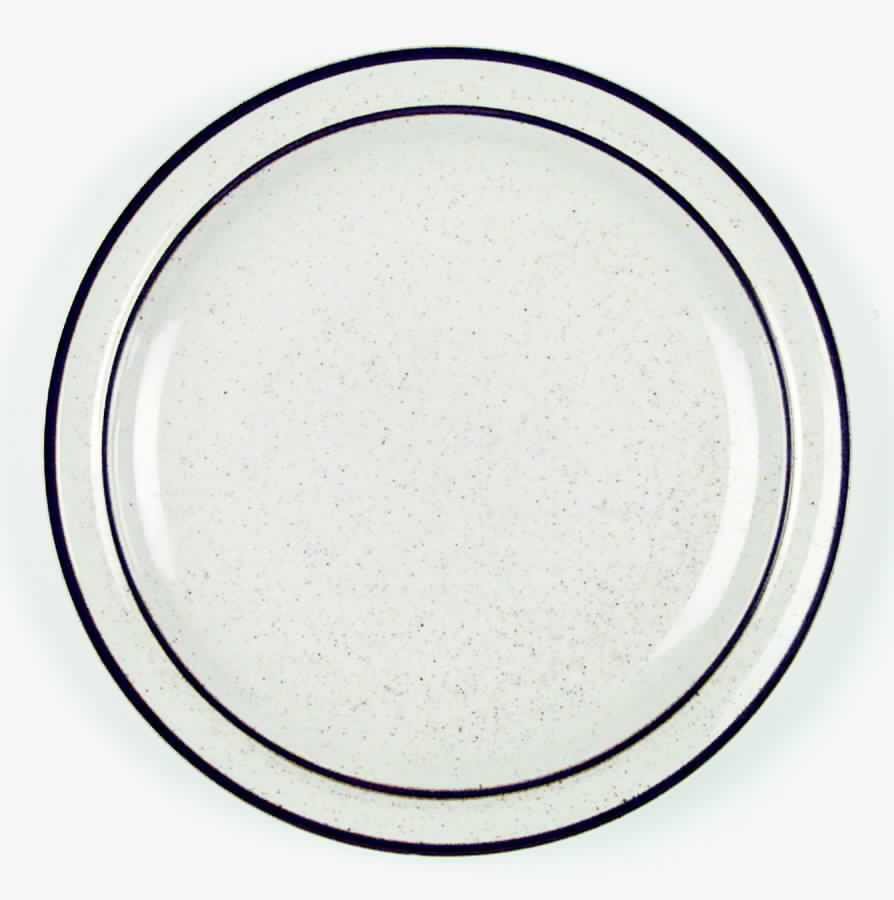 Cinnamon Dinner Plate by Japan-1