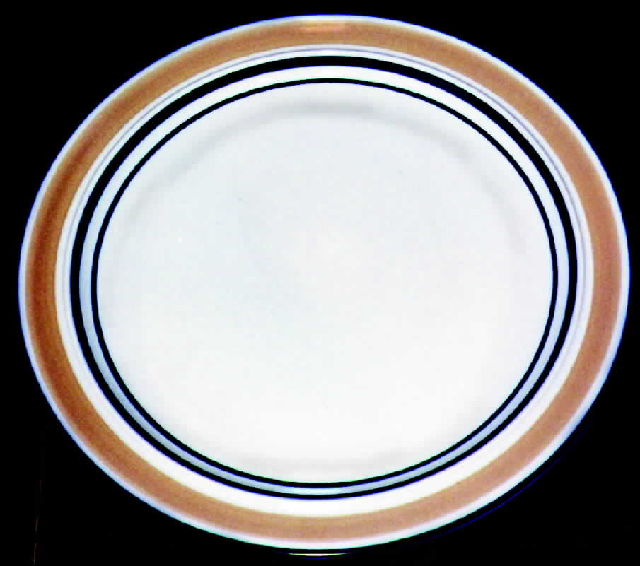 Cycles Camel Dinner Plate by Japan-1