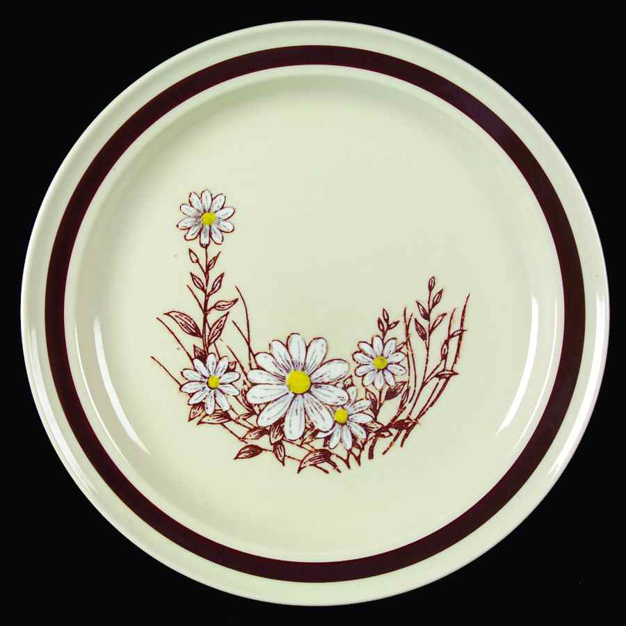 Ginger Dinner Plate by Japan-1
