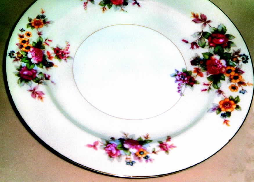 JAP44 Dinner Plate by Japan-1