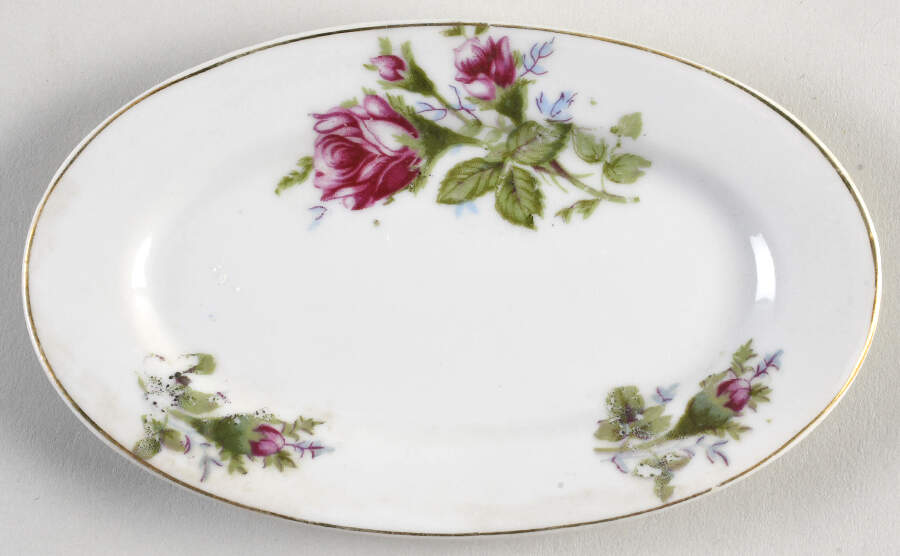 Moss Rose Child's Platter by Japan-1