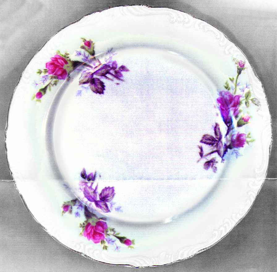 Moss Rose Luncheon Plate by Japan-1
