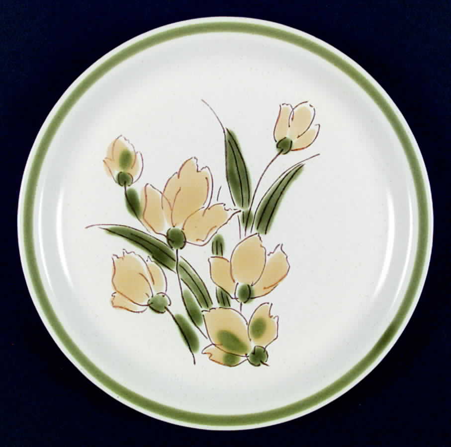Stonybrook Dinner Plate by Japan-1