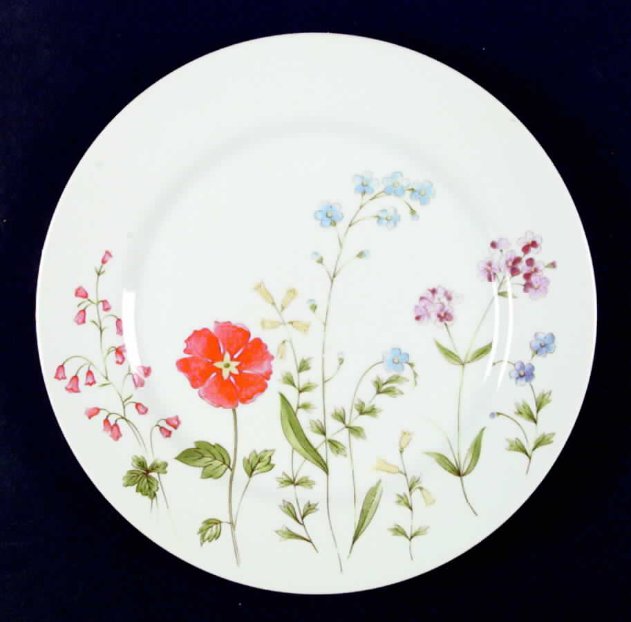 Celeste Dinner Plate by Jardin-1