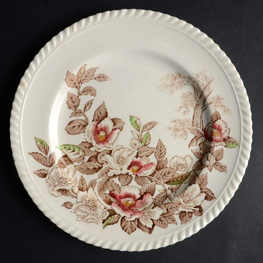 Appleblossom Brown Multicolor Luncheon Plate by Johnson Brothers-1