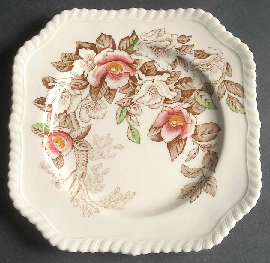 Appleblossom Brown Multicolor Square Salad Plate by Johnson Brothers-1