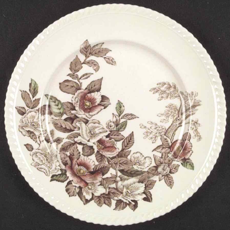 Appleblossom Brown Multicolor Dinner Plate by Johnson Brothers-1