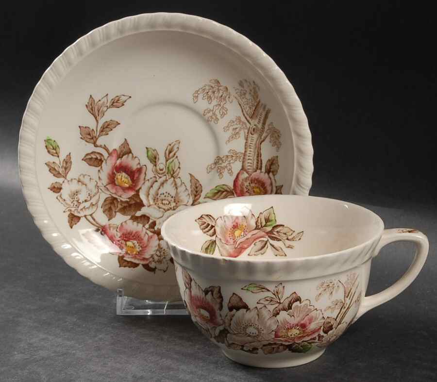 Appleblossom Brown Multicolor Flat Cup & Saucer Set by Johnson Brothers-1