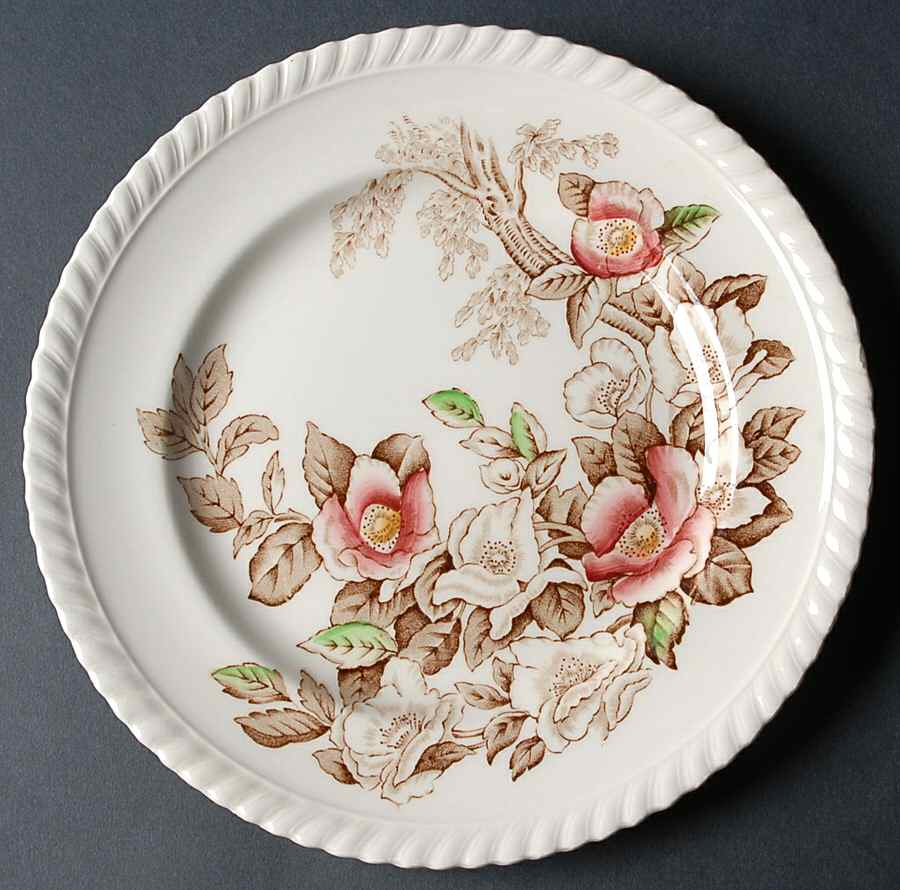 Appleblossom Brown Multicolor Salad Plate by Johnson Brothers-1
