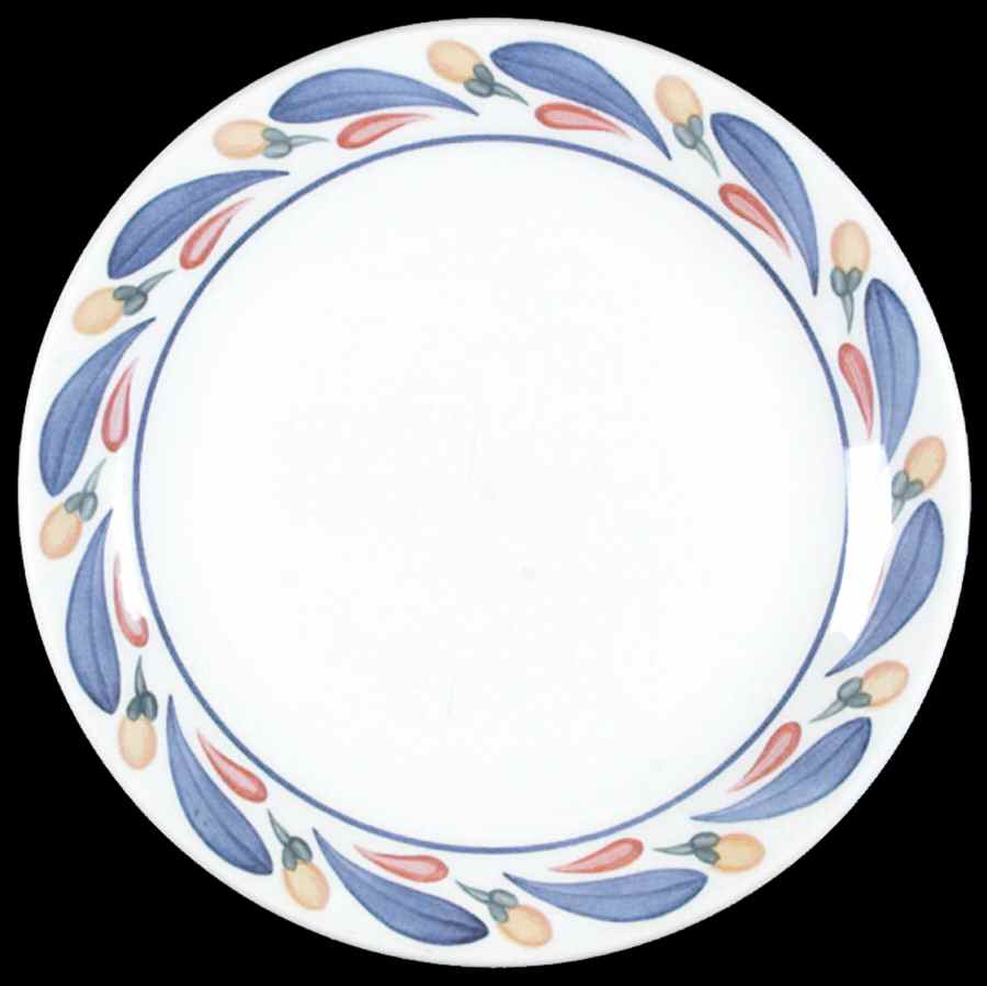 Aquabatic Salad Plate by Johnson Brothers-1