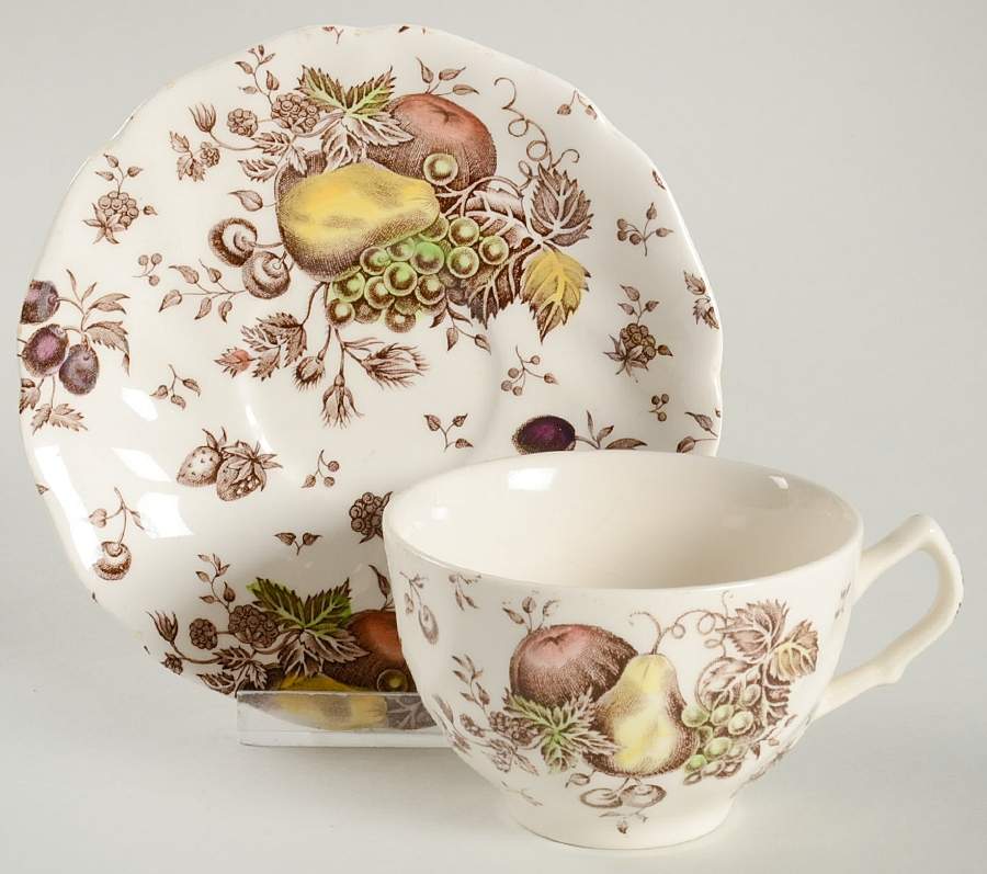 Autumn's Delight Flat Cup & Saucer Set by Johnson Brothers-1