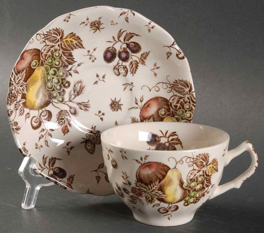 Autumn's Delight Flat Cup & Saucer Set by Johnson Brothers-1