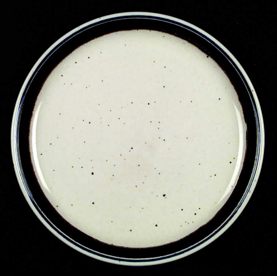 Bahia Dinner Plate by Johnson Brothers-1