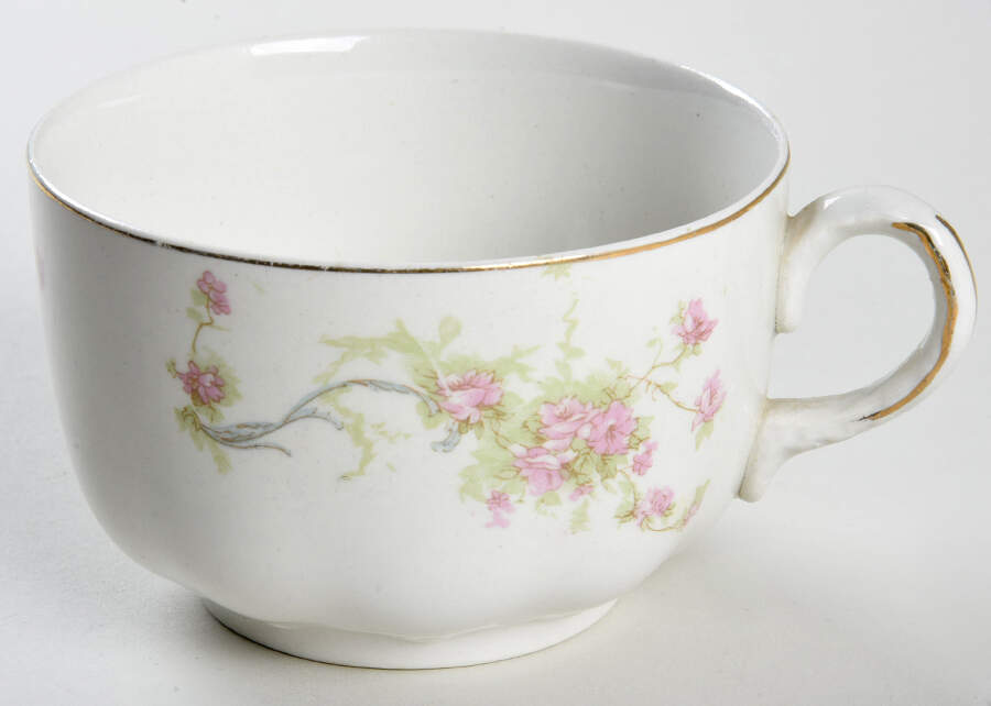 The Baroda Flat Cup by Johnson Brothers-1
