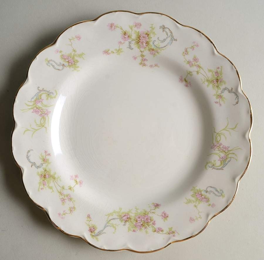The Baroda Luncheon Plate by Johnson Brothers-1