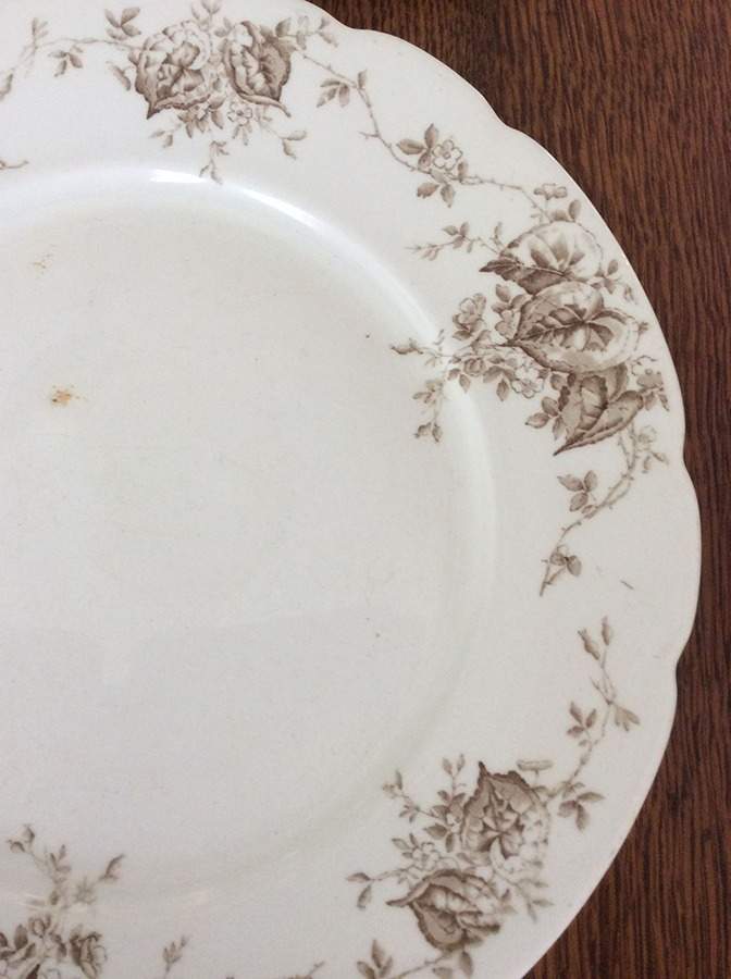 Begonia Brown Dinner Plate by Johnson Brothers-1