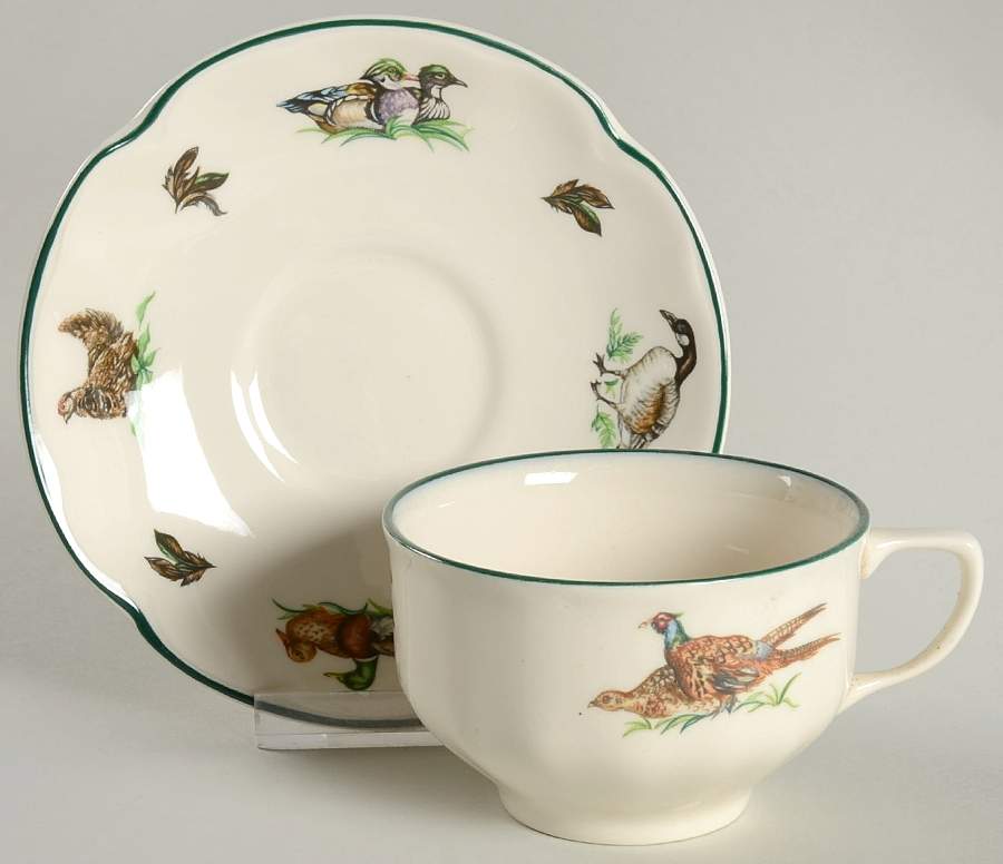 Brookshire (Made in England, Earthenware) Flat Cup & Saucer Set by Johnson Brothers-1