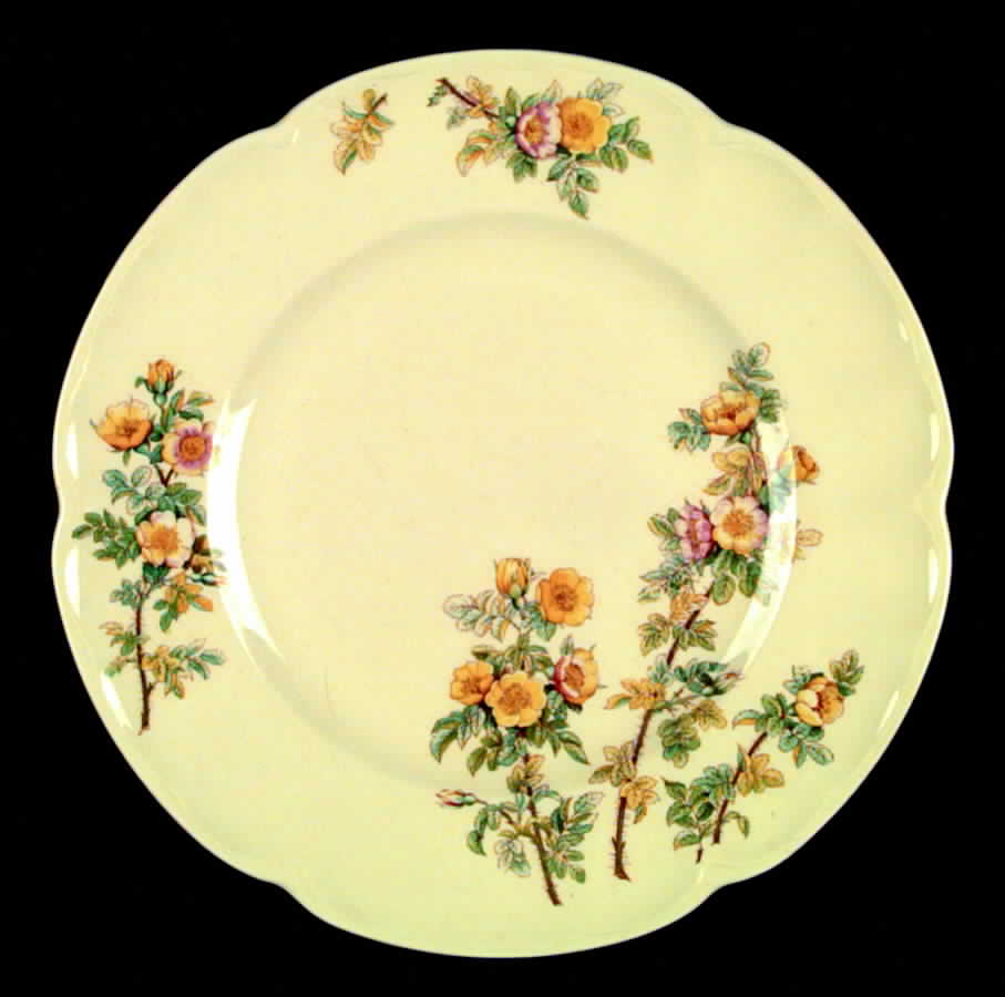 Buttercup Dinner Plate by Johnson Brothers-1