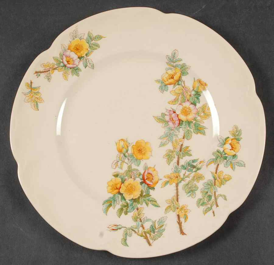 Buttercup Salad Plate by Johnson Brothers-1