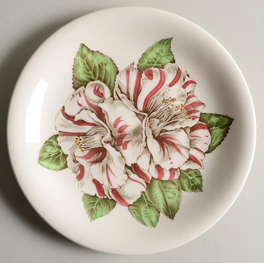 Camellia Multicolor Salad Plate by Johnson Brothers-1
