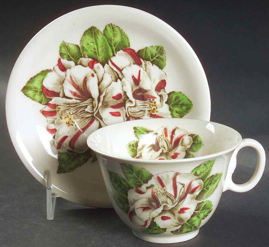 Camellia Multicolor Flat Cup & Saucer Set by Johnson Brothers-1