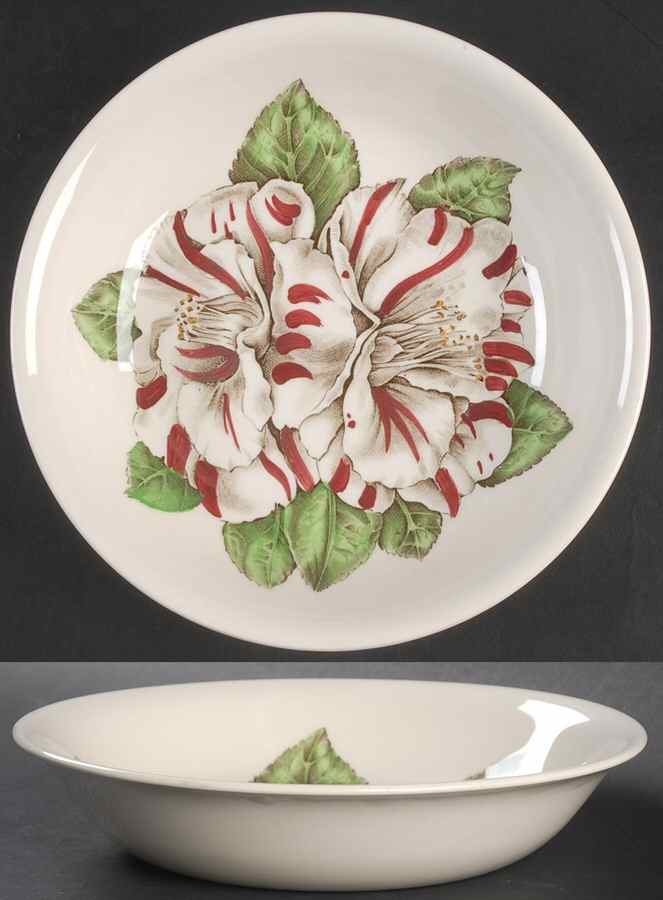 Camellia Multicolor Coupe Soup Bowl by Johnson Brothers-1