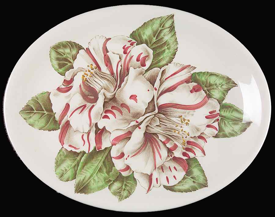 Camellia Multicolor 12" Oval Serving Platter by Johnson Brothers-1