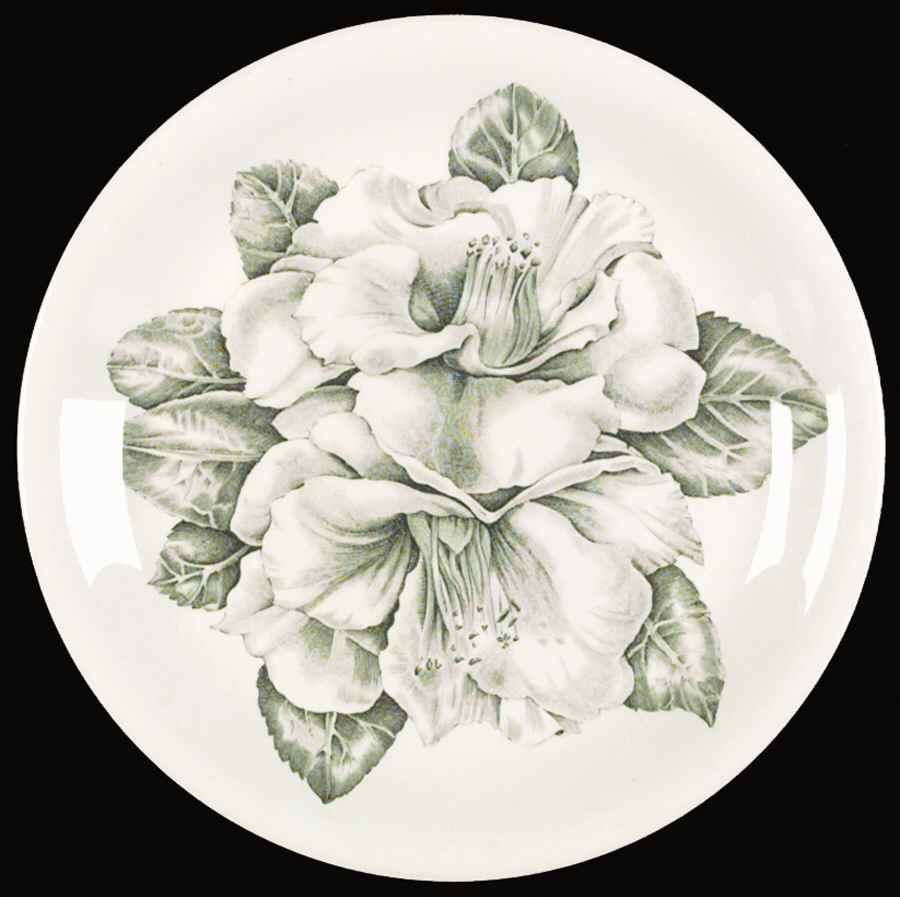 Camellia Green Dinner Plate by Johnson Brothers-1