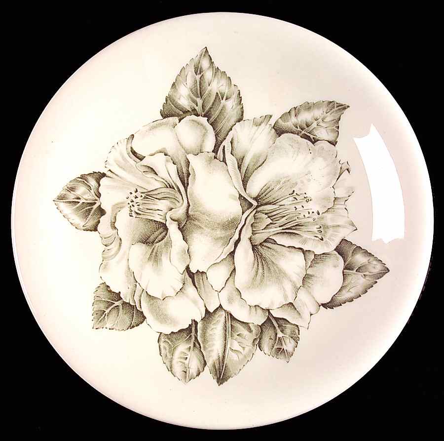 Camellia Green Salad Plate by Johnson Brothers-1