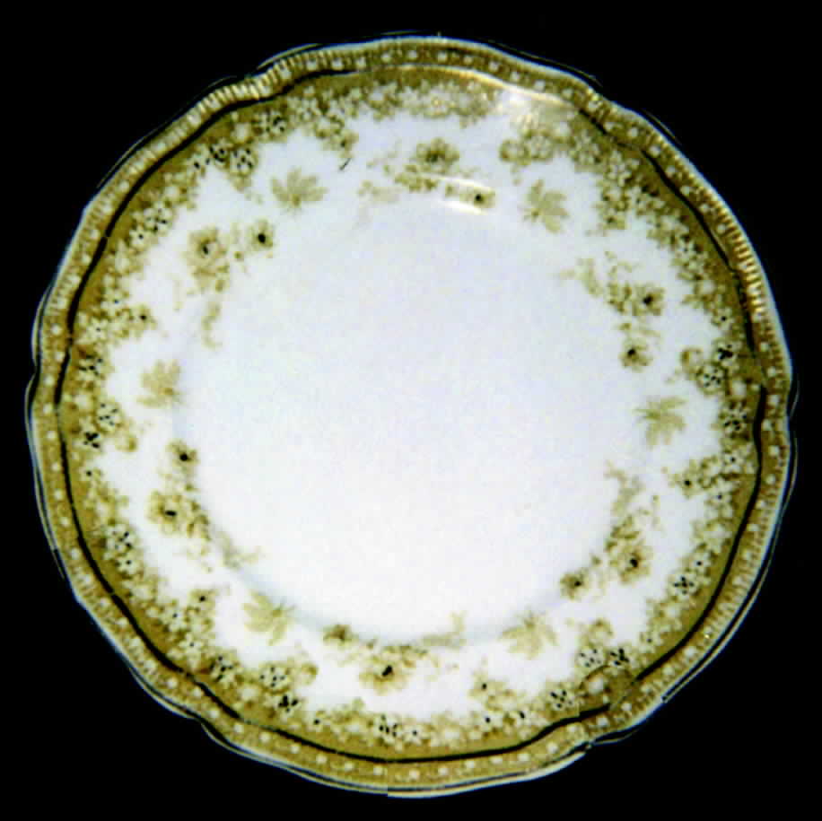 Carlton (Brown Flowers) Dinner Plate by Johnson Brothers-1