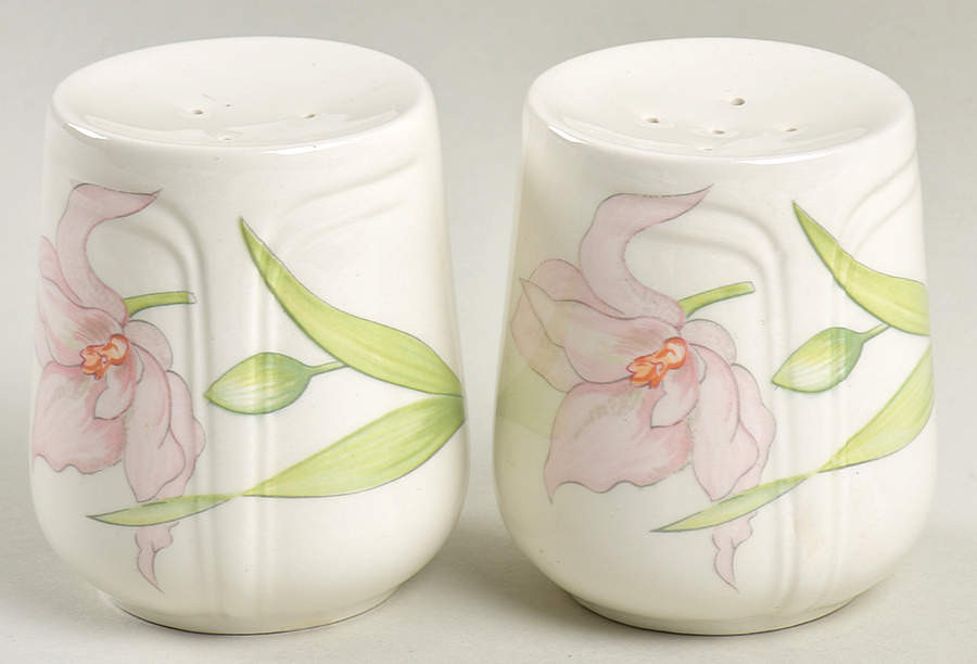 Celebrity Salt & Pepper Set by Johnson Brothers-1
