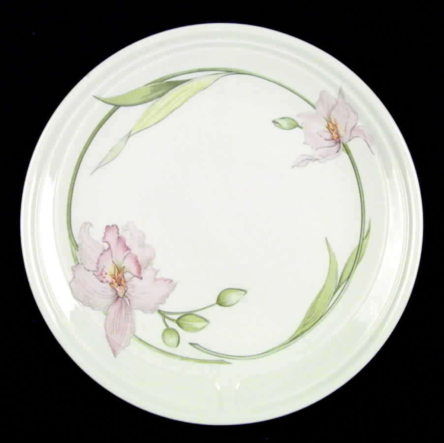 Celebrity Dinner Plate by Johnson Brothers-1