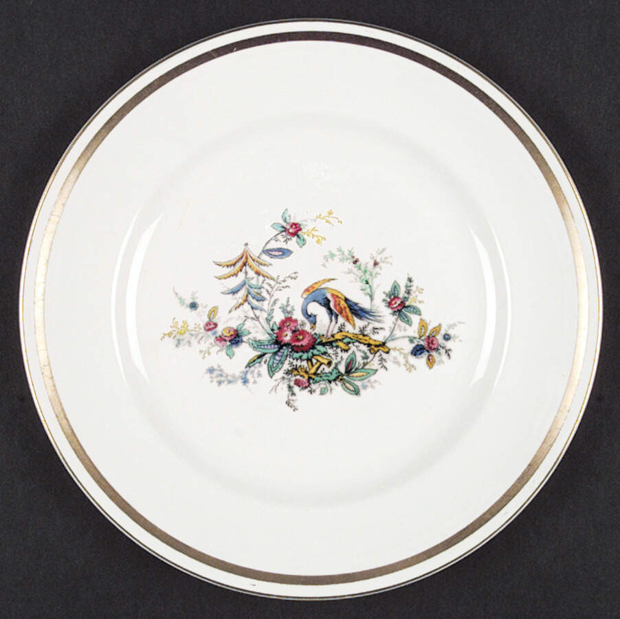 Celestial Dinner Plate by Johnson Brothers-1