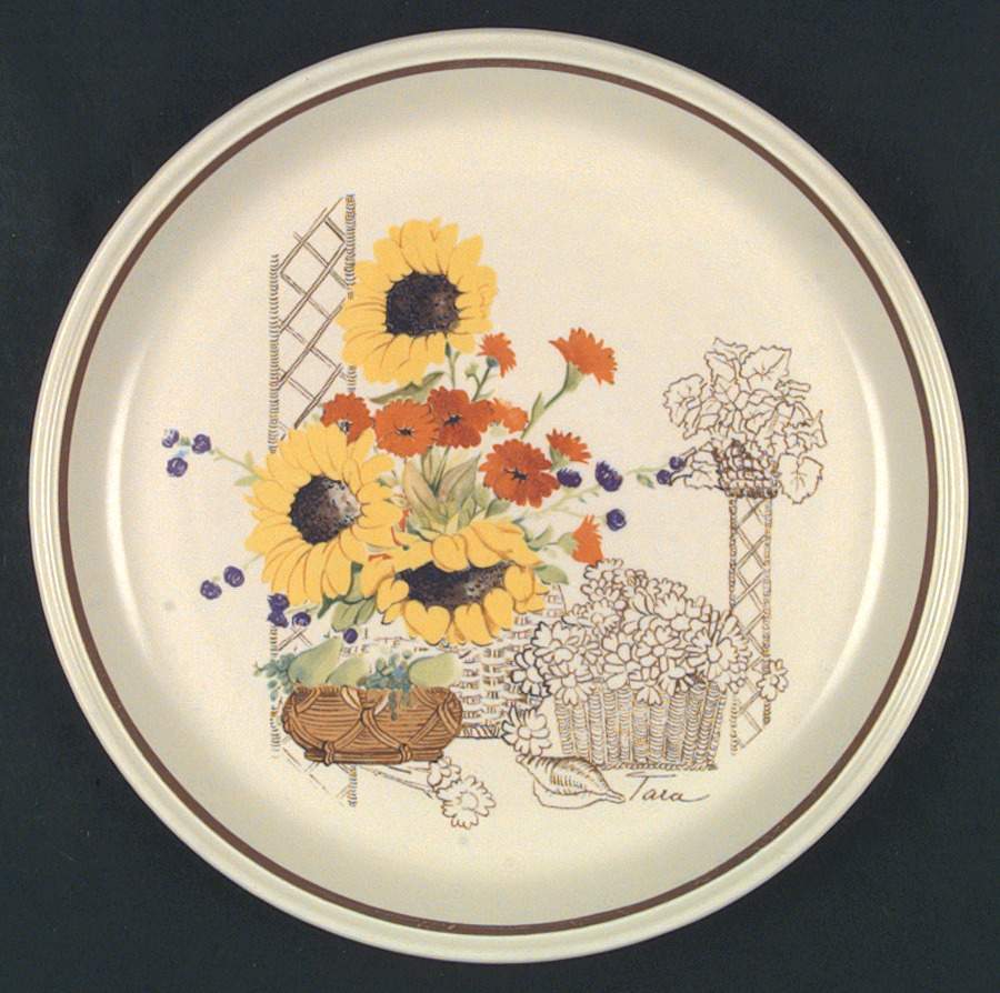Charleston Garden Dinner Plate by Johnson Brothers-1
