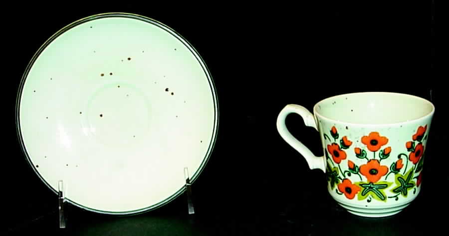 Cheyne Walk Flat Cup & Saucer Set by Johnson Brothers-1