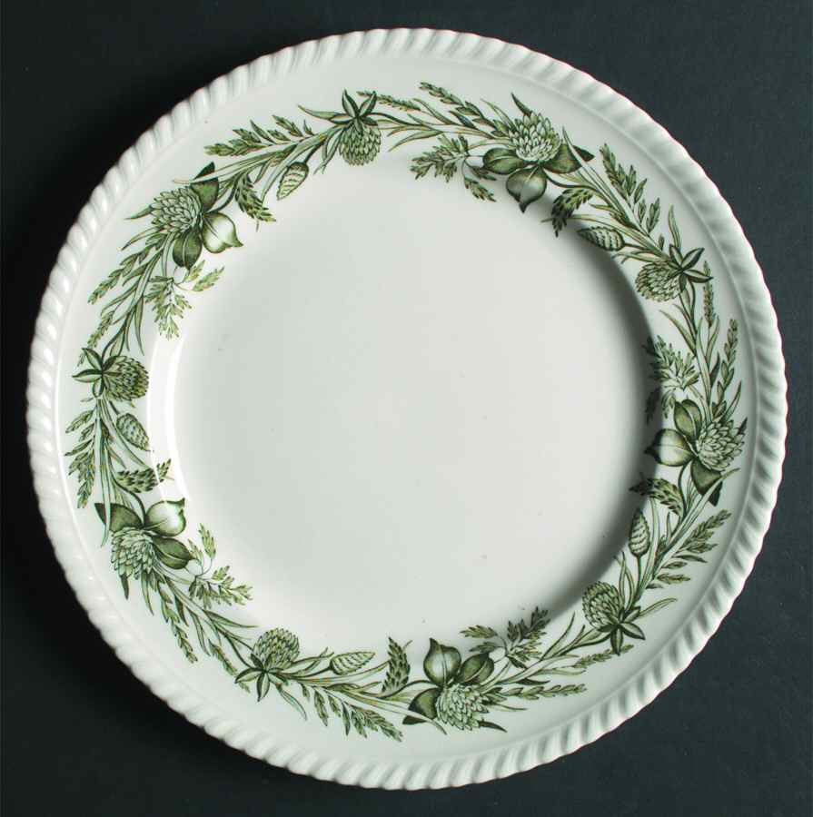 Clover Time Dinner Plate by Johnson Brothers-1