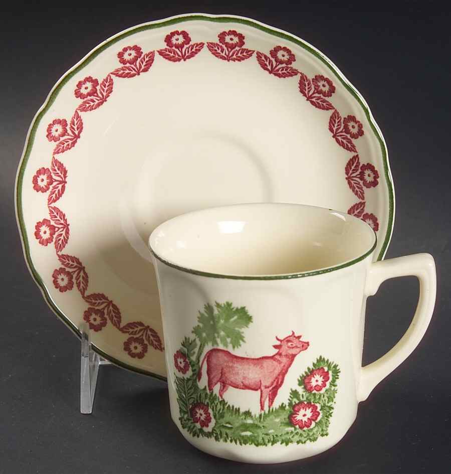 County Clare Flat Cup & Saucer Set by Johnson Brothers-1