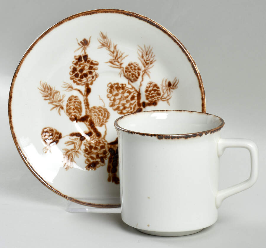 Conifer Flat Cup & Saucer Set by Johnson Brothers-1