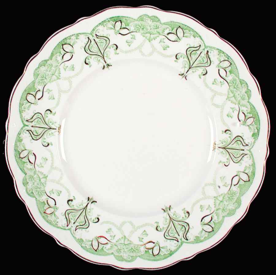 Dartmouth Green Dinner Plate by Johnson Brothers-1