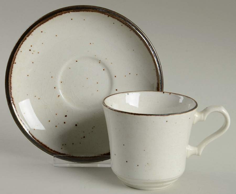 Desert Sand Flat Cup & Saucer Set by Johnson Brothers-1