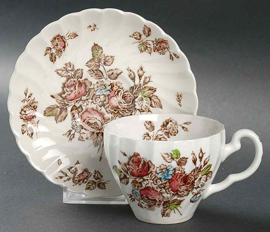 Devon Sprays Brown Multicolor Flat Cup & Saucer Set by Johnson Brothers-1